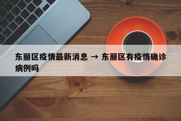 东丽区疫情最新消息 → 东丽区有疫情确诊病例吗